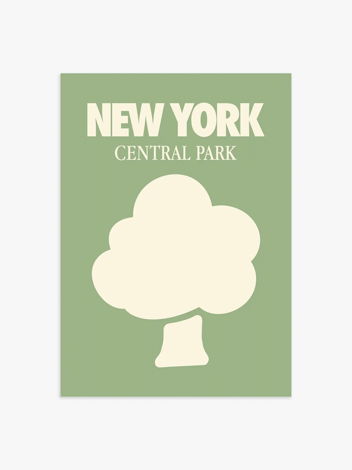 New York Central Park Poster - 40x50 cm
