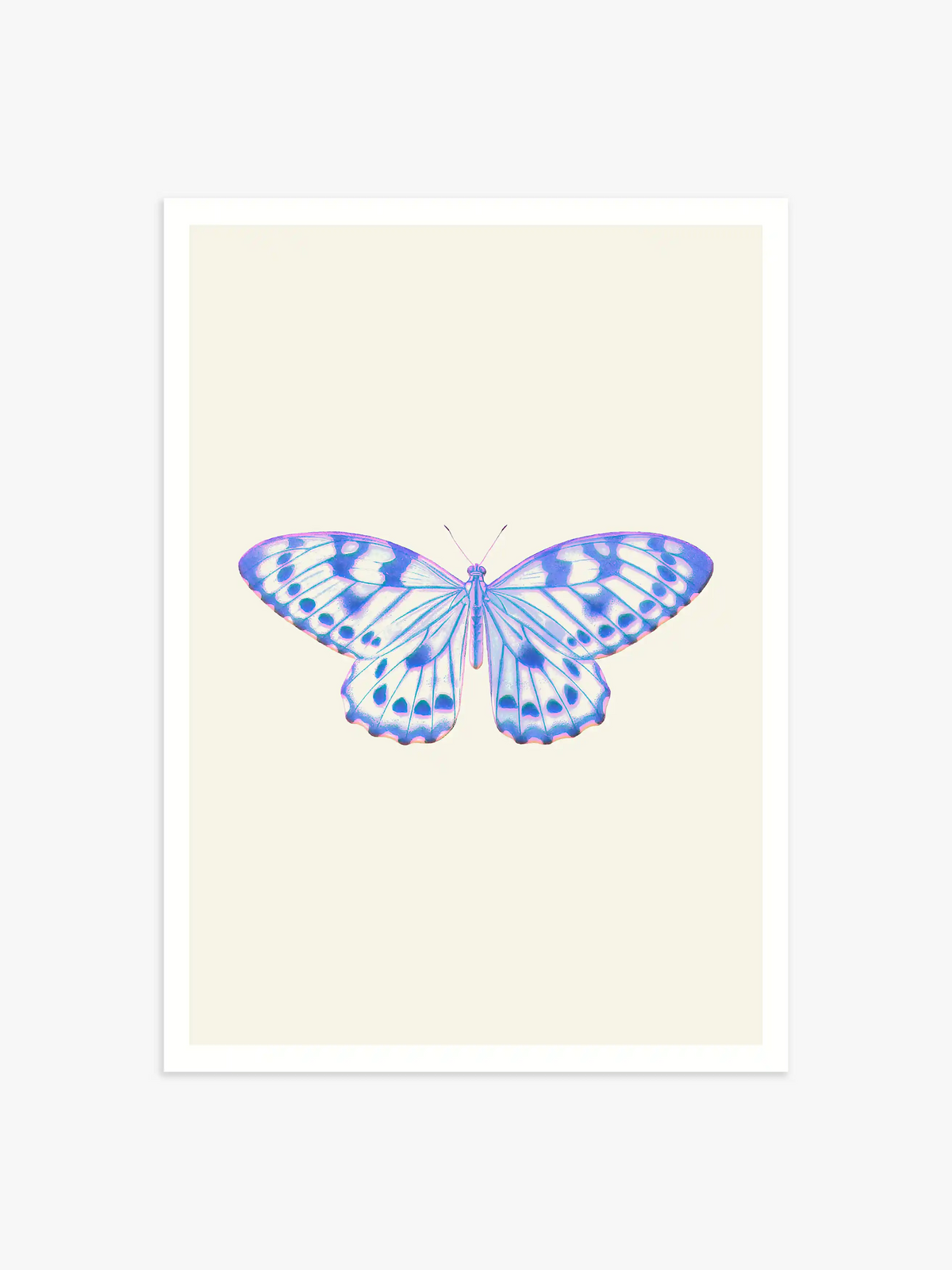 Poster mit Schmetterling in Blau - 50x70 cm