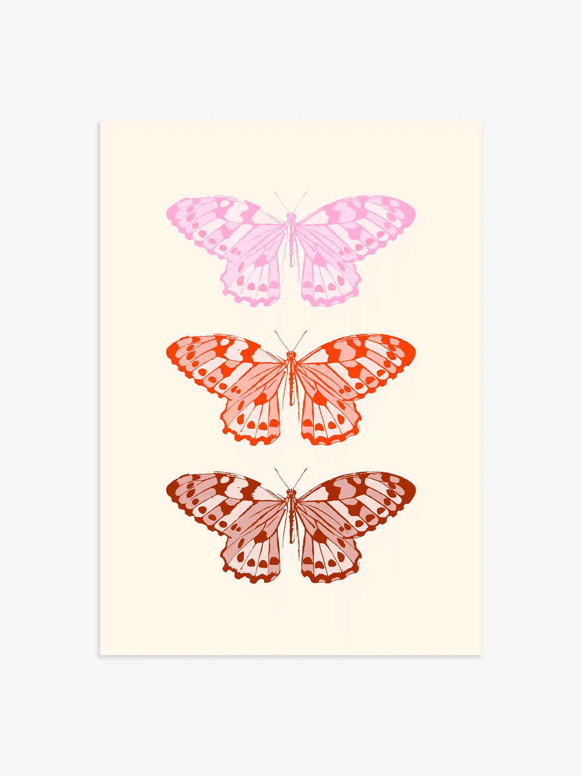 Poster mit drei Schmetterlingen - 13x18 cm
