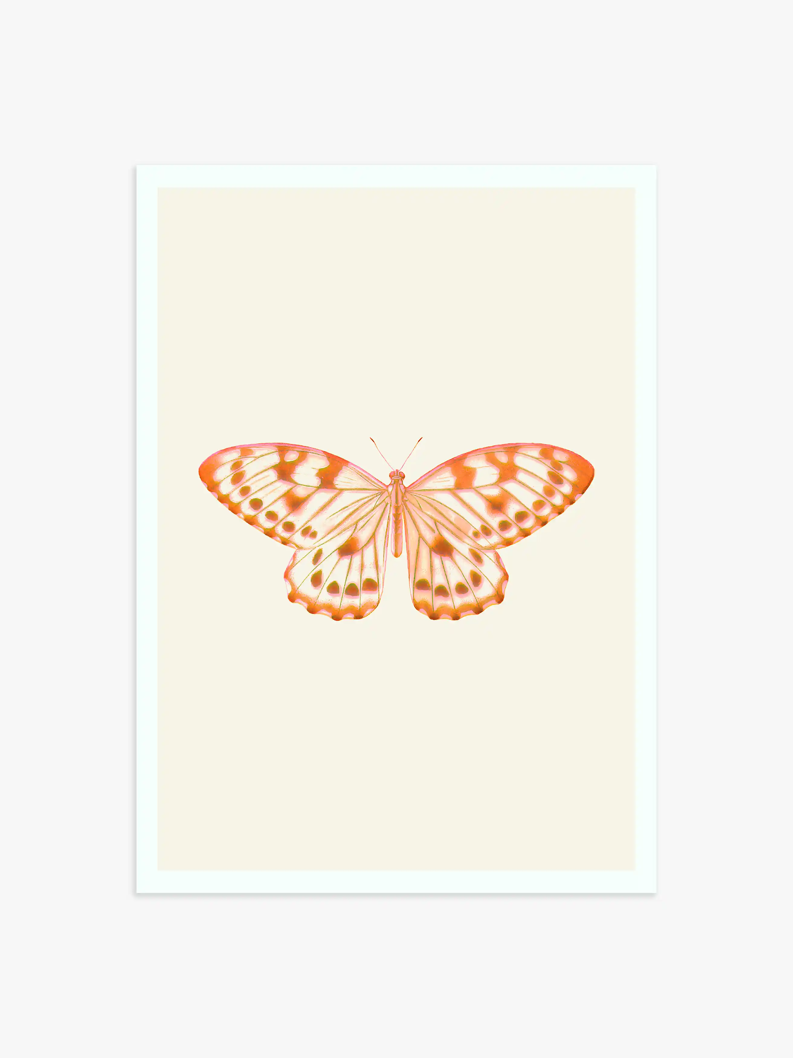 Poster mit Schmetterling in Orange