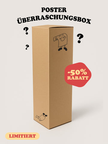 Poster Überraschungsbox